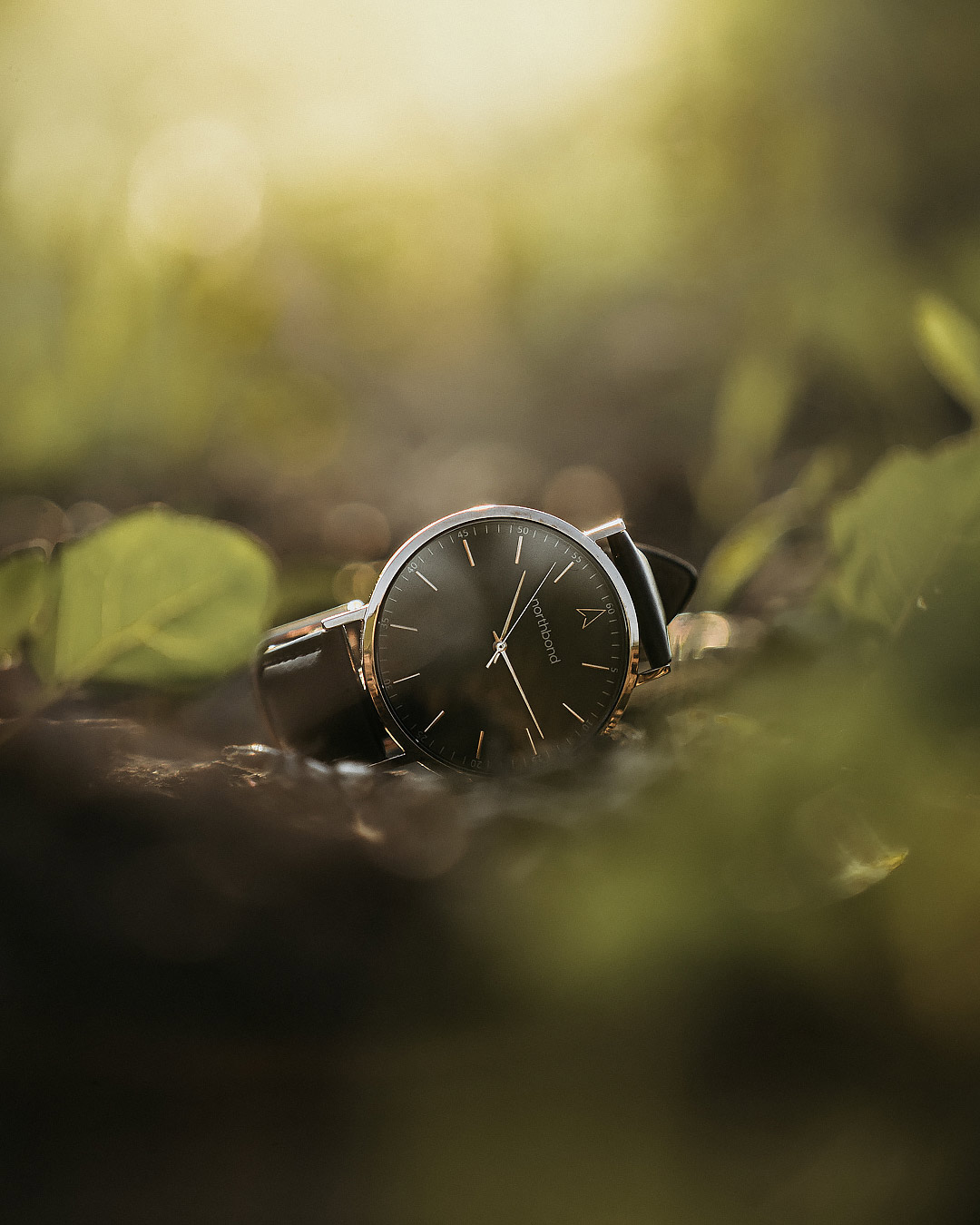 onyx watch nature